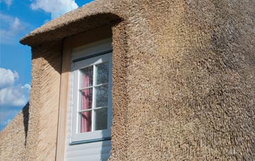 Picklenash thatch roof disadvantages